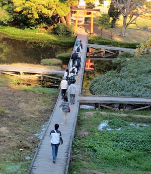 中井町の厳島湿生公園にて